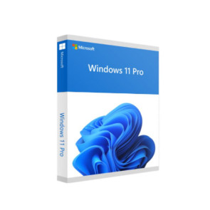 Sistema Operativo Microsoft Windows 11 Pro 64-bit Spanish LATAM OEM DVD